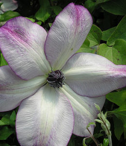 fond-memories_2