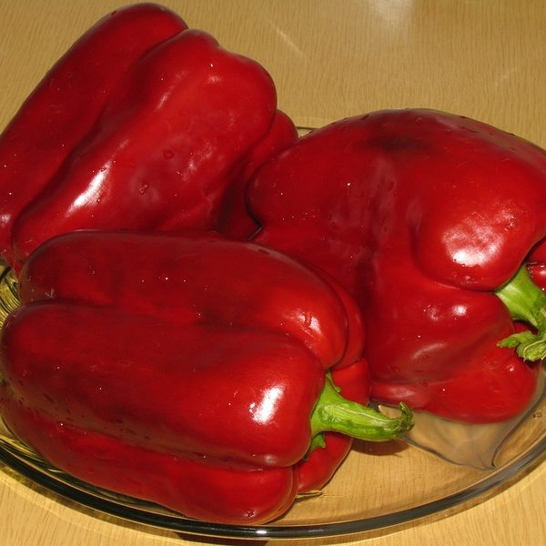 Клаудио