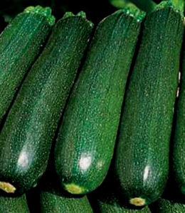 цукеша