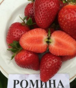 Ромина_2 Ромина_2
