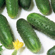 маринда