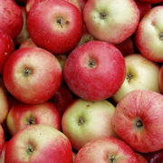 Аппорт_2